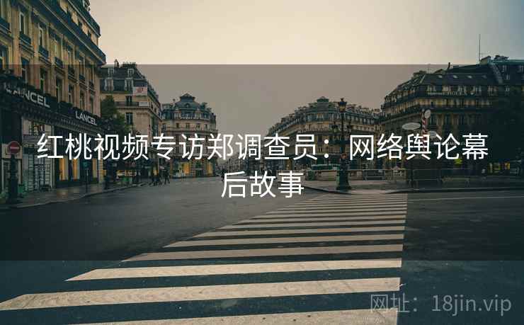 红桃视频专访郑调查员：网络舆论幕后故事