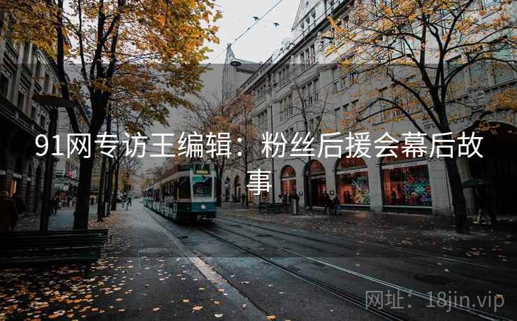 91网专访王编辑：粉丝后援会幕后故事