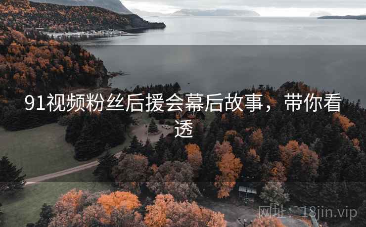 91视频粉丝后援会幕后故事，带你看透