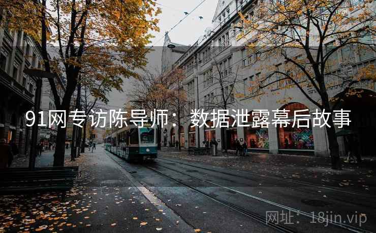 91网专访陈导师：数据泄露幕后故事