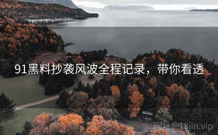 91黑料抄袭风波全程记录，带你看透