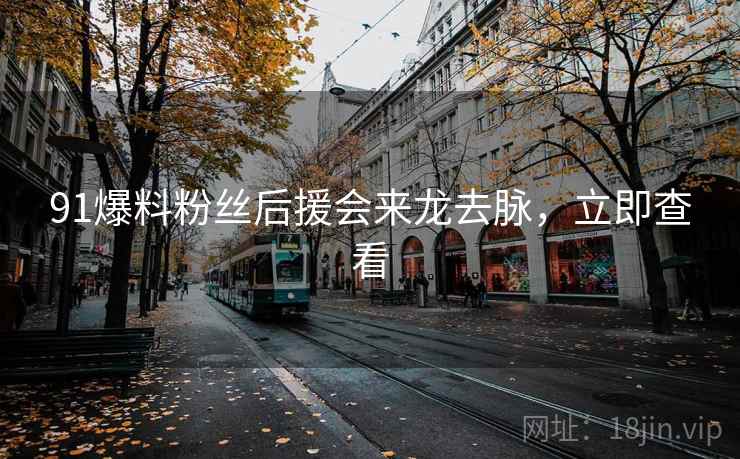 91爆料粉丝后援会来龙去脉，立即查看