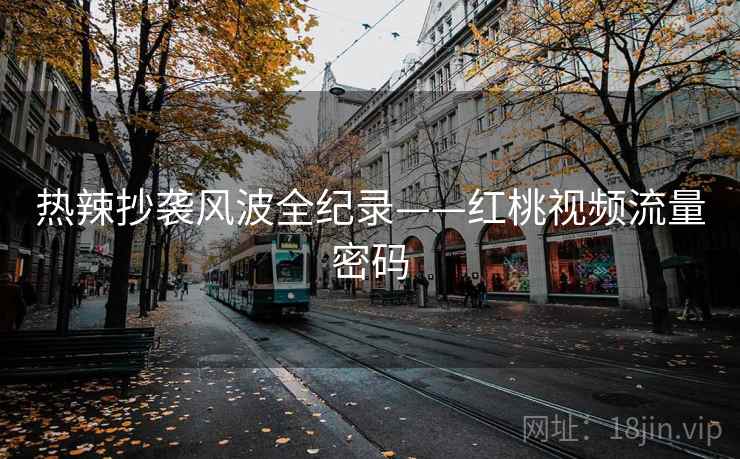 热辣抄袭风波全纪录——红桃视频流量密码