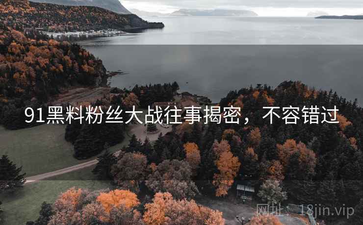 91黑料粉丝大战往事揭密，不容错过
