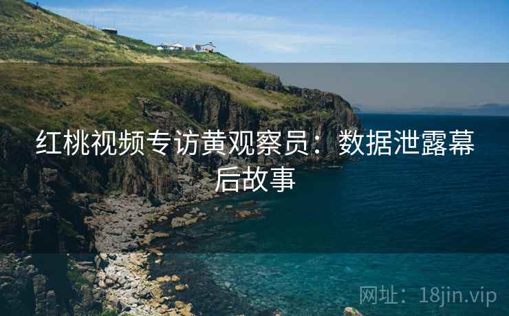 红桃视频专访黄观察员：数据泄露幕后故事