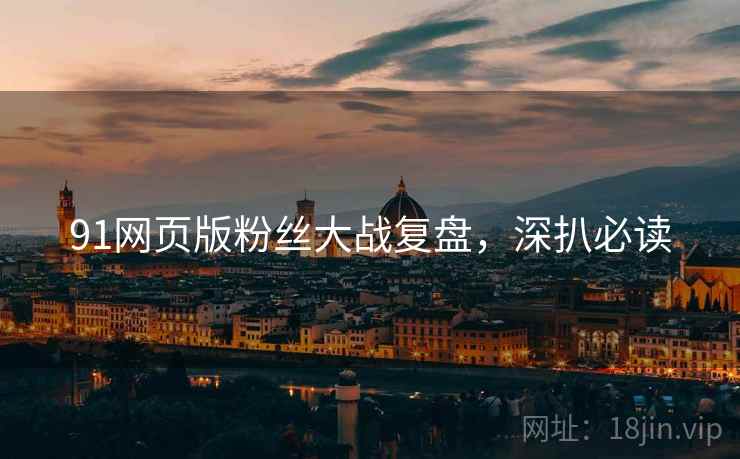91网页版粉丝大战复盘，深扒必读