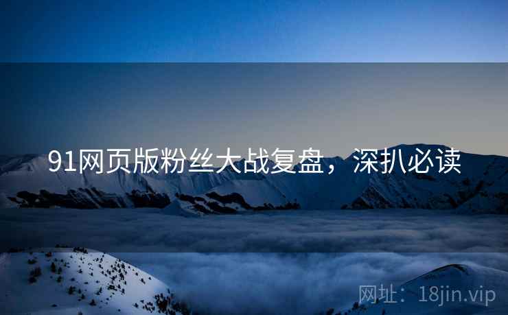 91网页版粉丝大战复盘，深扒必读