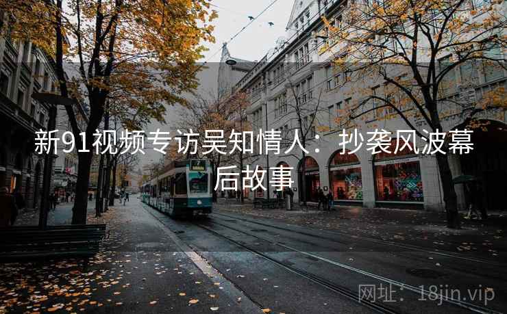 新91视频专访吴知情人：抄袭风波幕后故事