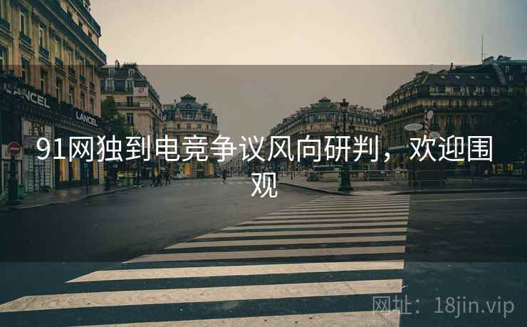 91网独到电竞争议风向研判，欢迎围观