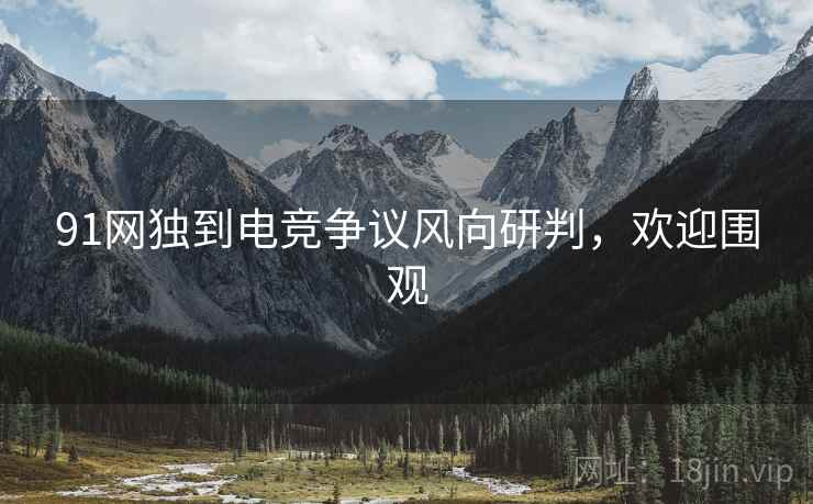 91网独到电竞争议风向研判，欢迎围观
