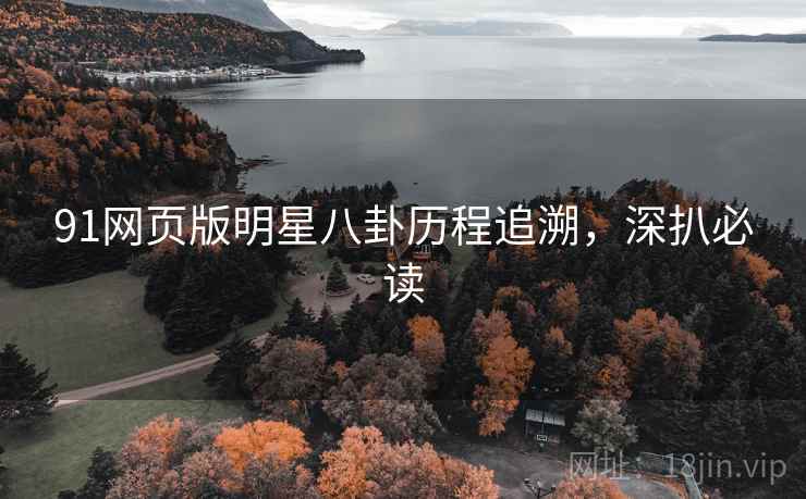 91网页版明星八卦历程追溯,深扒必读