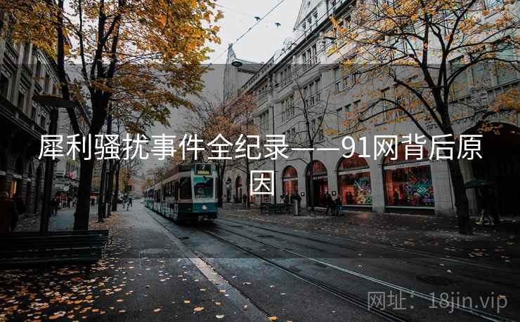 犀利骚扰事件全纪录——91网背后原因