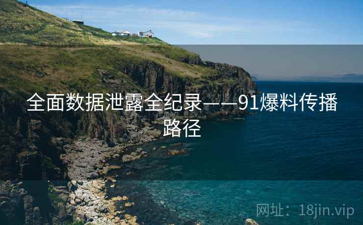 全面数据泄露全纪录——91爆料传播路径